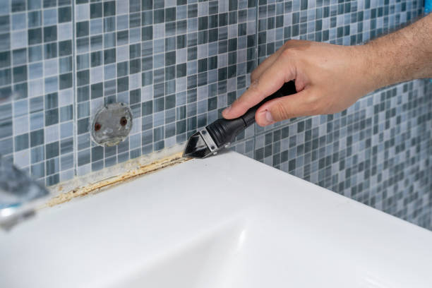 Best Attic Mold Removal  in Oakmont, PA